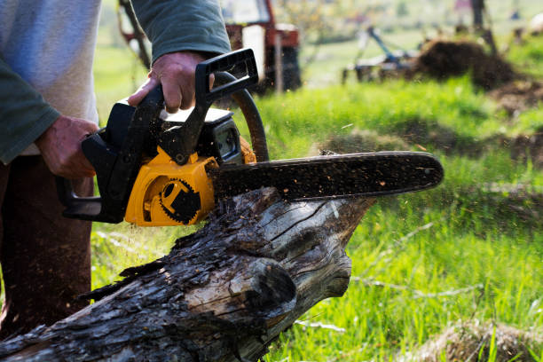 Soil Testing and Treatment in North Edwards, CA